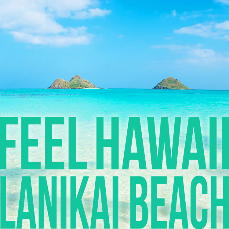 FEEL HAWAII REPORT②　～LANIKAI BEACH～