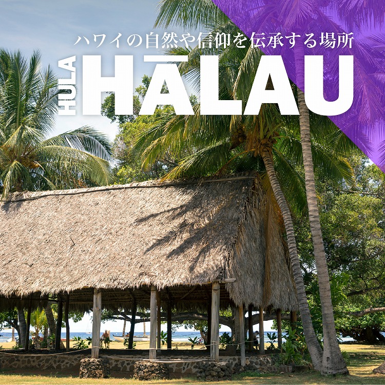 古代ハワイのフラ学校「フラ・ハラウ」とは　～ハワイの自然や信仰を伝承する場所～