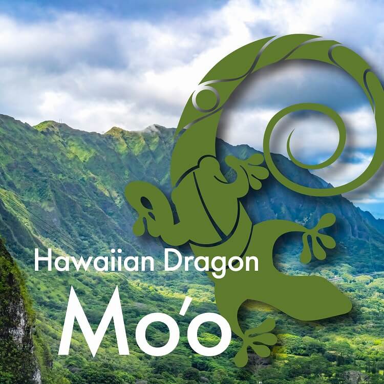 ハワイでドラゴンと呼ばれるトカゲ、幸運を運ぶ「モオ」の魅力に迫る