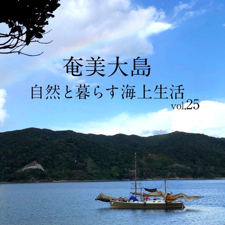 奄美大島　加計呂麻の楽園
