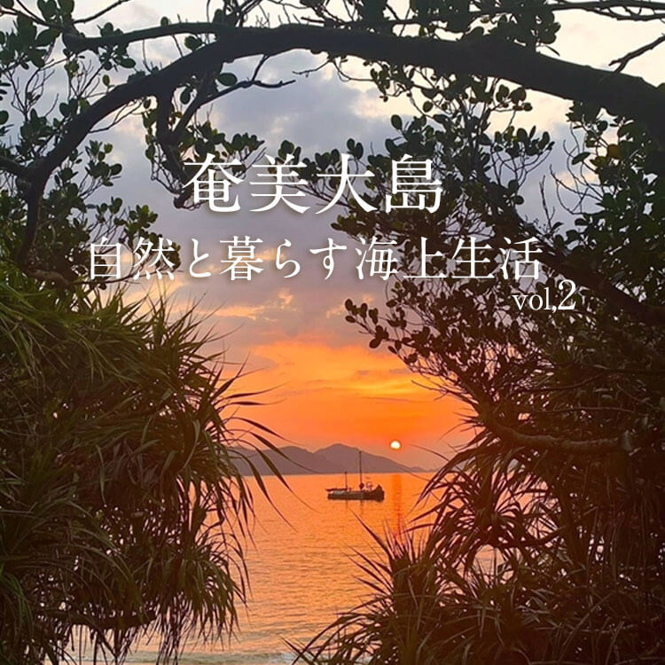 奄美大島　海族ファミリーの日常