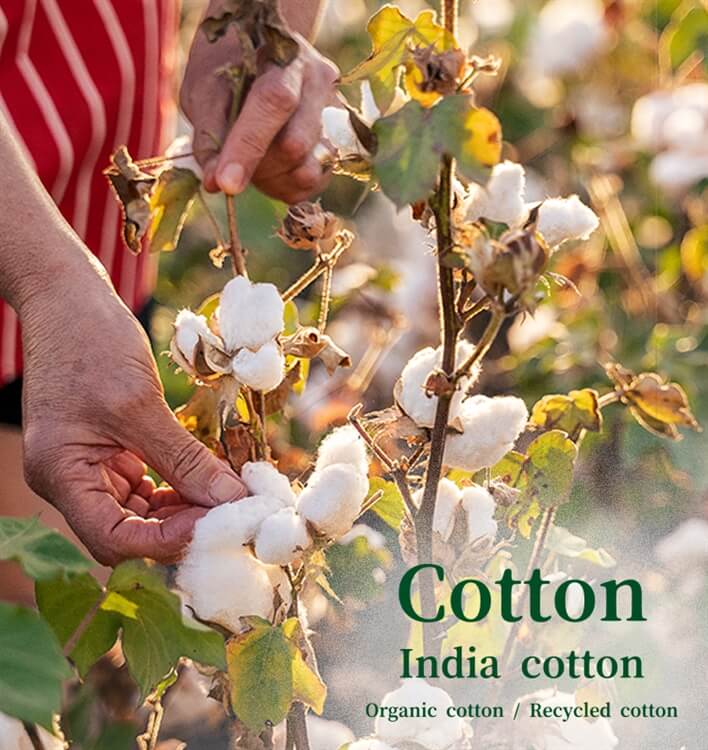 India Cotton【後編】