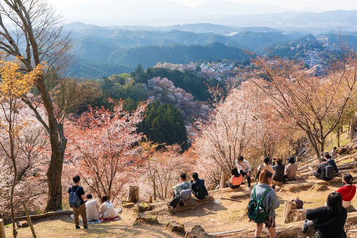 吉野熊野国立公園