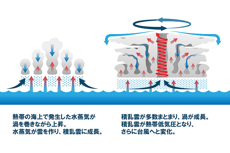 台風のメカニズム、発生から衰退まで