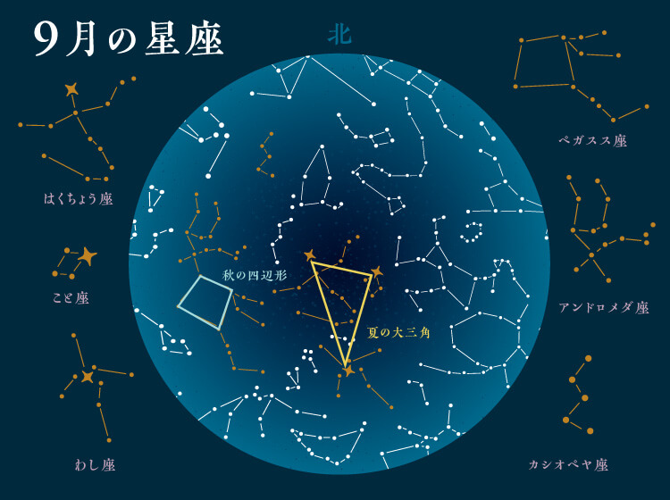 ハーベストムーンの時期に一緒に観測できる星座