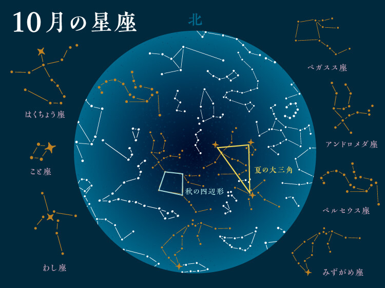 ハンターズムーンの時期に一緒に観測できる星座