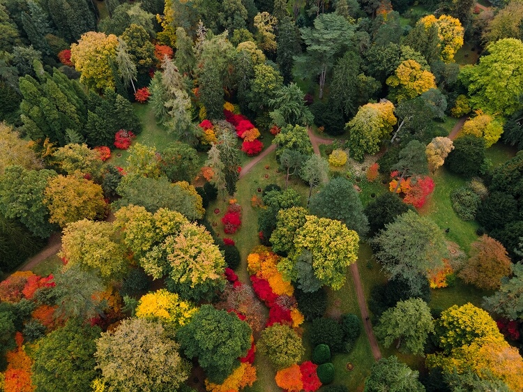 イギリス　ウェストンバート国立森林公園