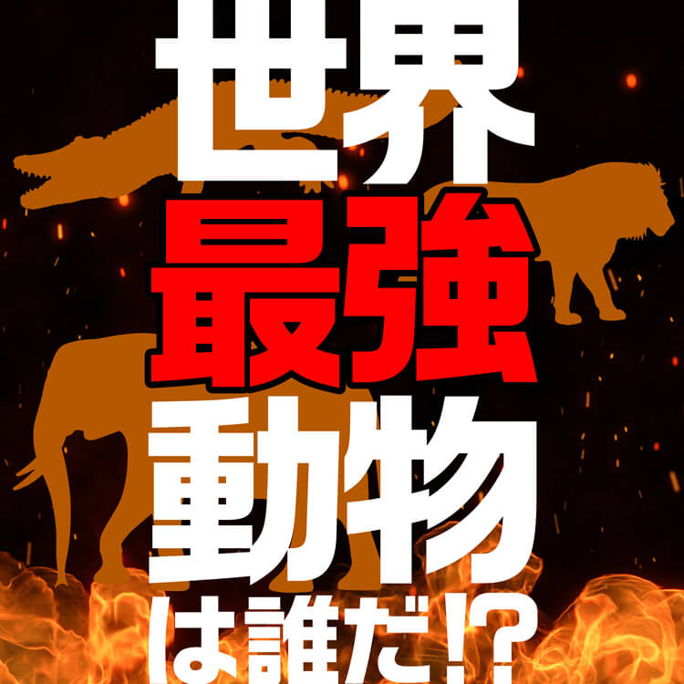 世界最強動物は誰だ！？世界一〇〇な動物16選をご紹介！
