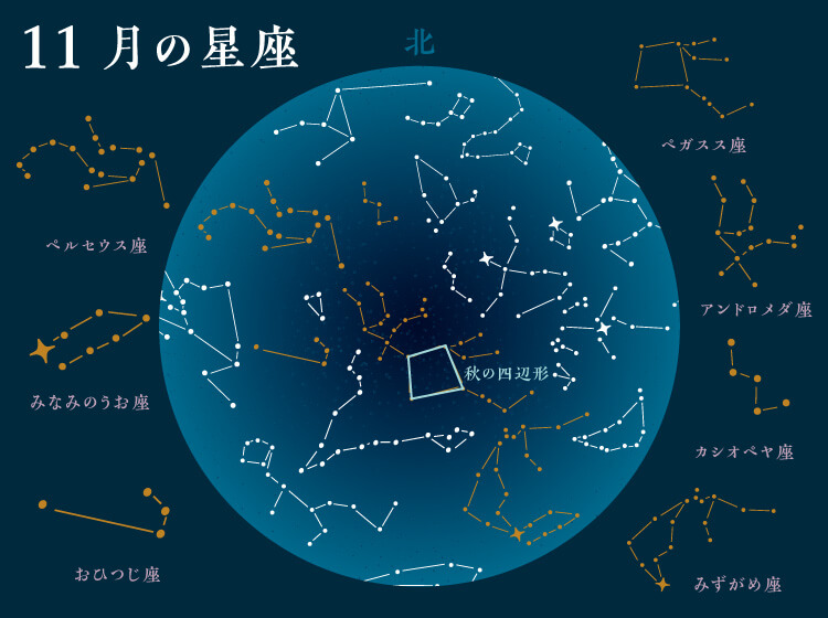 ビーバームーンの時期に一緒に観測できる星座