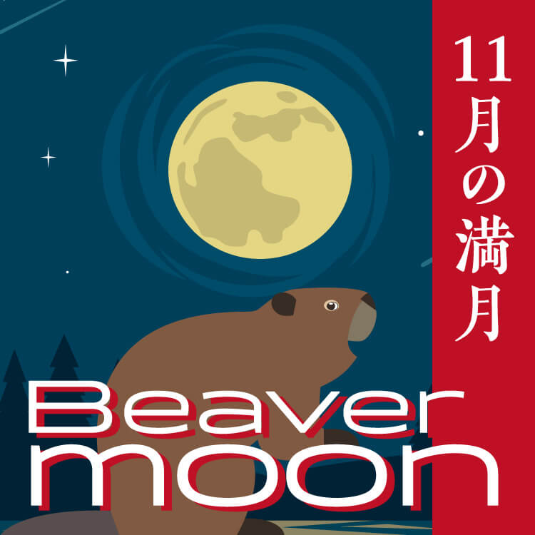 11月の満月「ビーバームーン」は2024年11月16日！おすすめの願い事も紹介