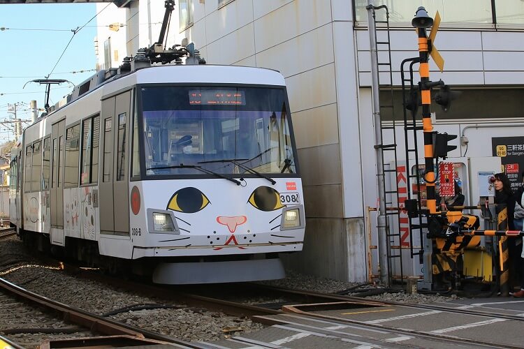 世田谷ボロ市の歴史を知るべし！