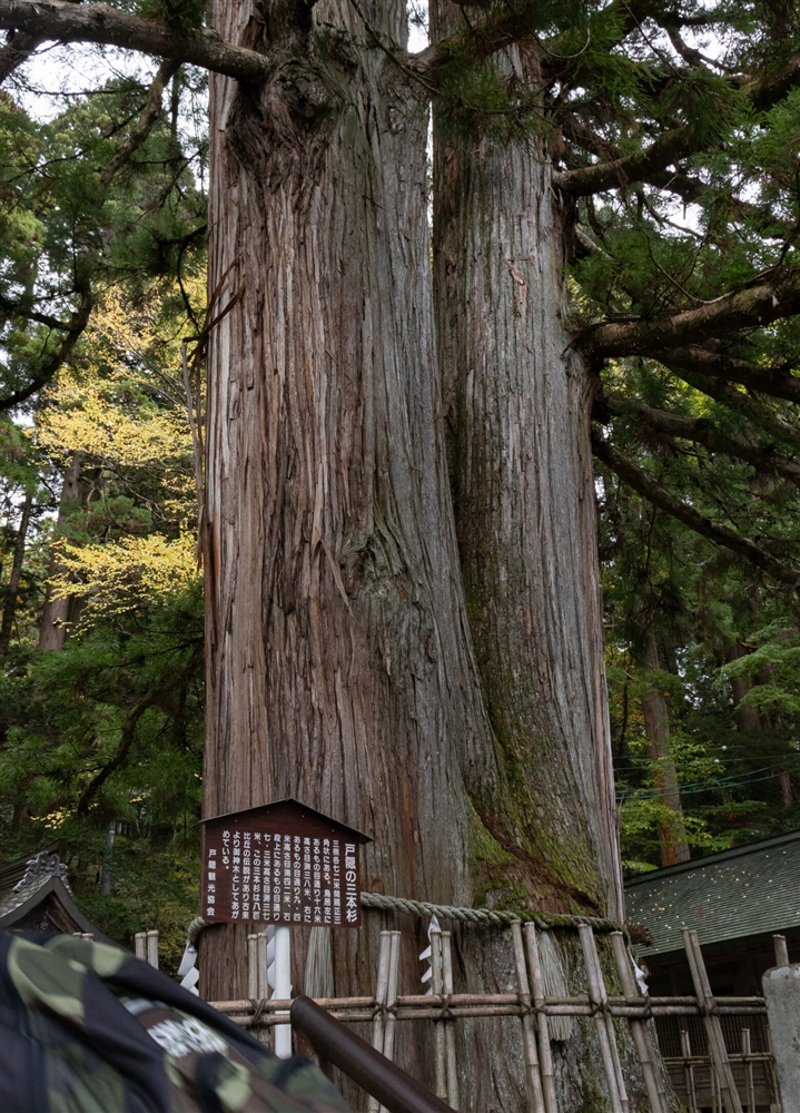 戸隠神社