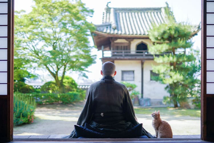 縁起物の招き猫。その由来とは？