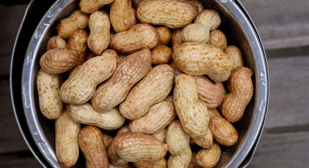 大豆ではなく落花生をまく地域がある