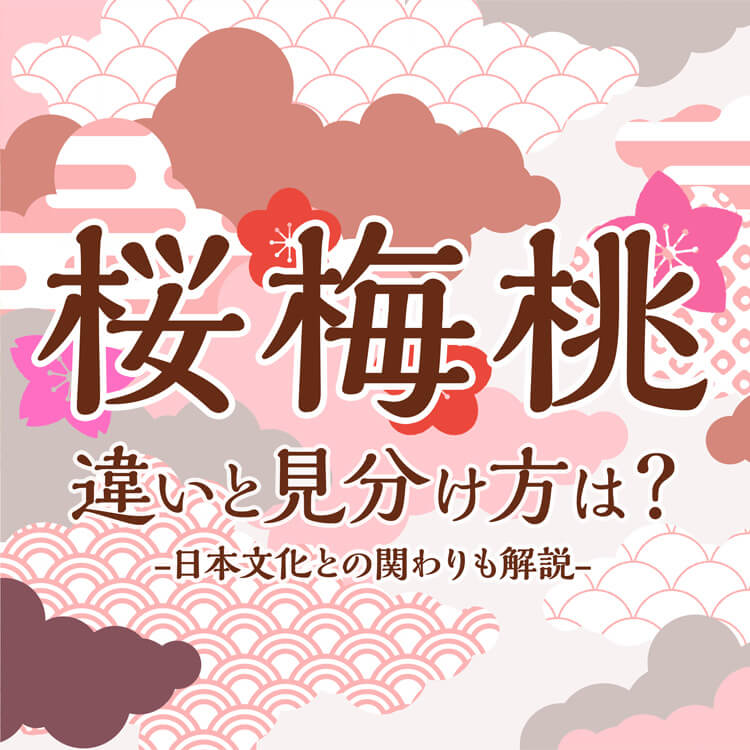 桜と梅と桃の違いを知ろう！春の代表的な花木の見分け方は？日本文化との関わりも含めて探ってみる