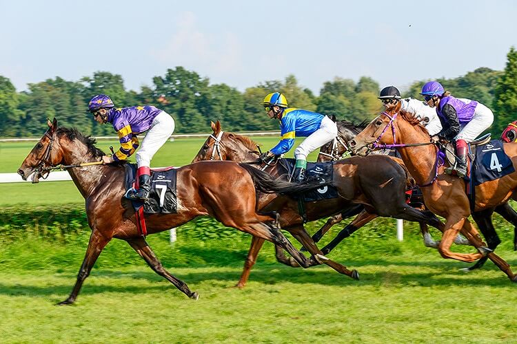 「左馬（ひだりうま）」は競馬でのゲン担ぎにも！