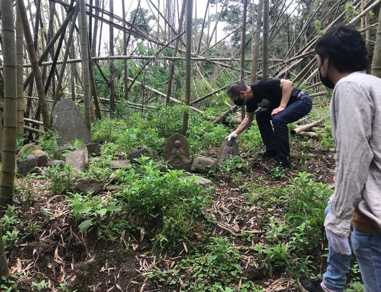 荒廃し竹やぶ化した里山