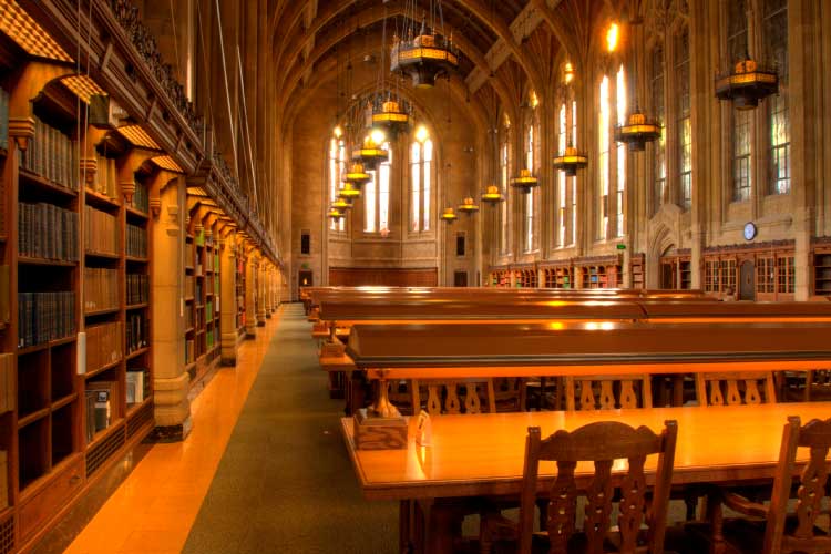 世界の美しい図書館を巡る旅へ出かけよう
