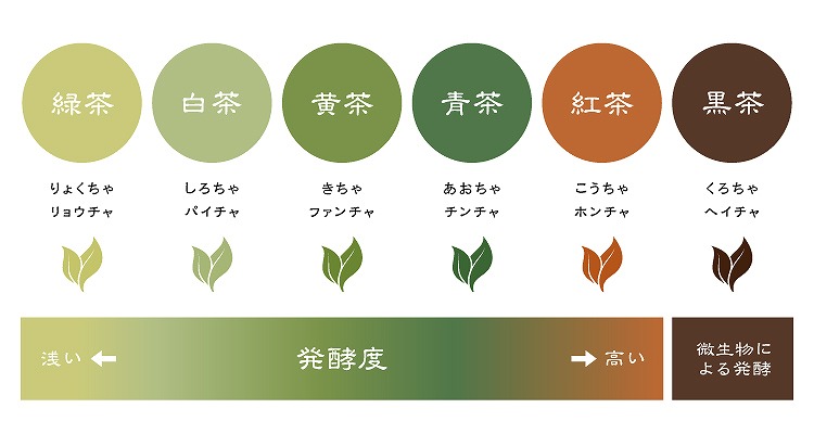 発酵度による中国茶の分類と特徴
