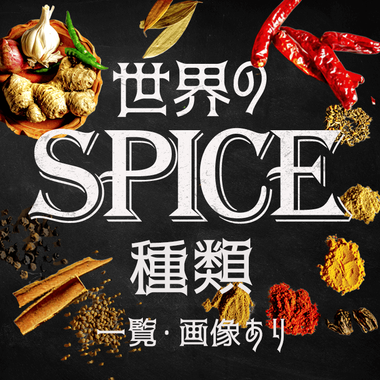 日本や世界のスパイスの種類・使い方を紹介！旅で出会った各地域のスパイスの効能や料理も解説！