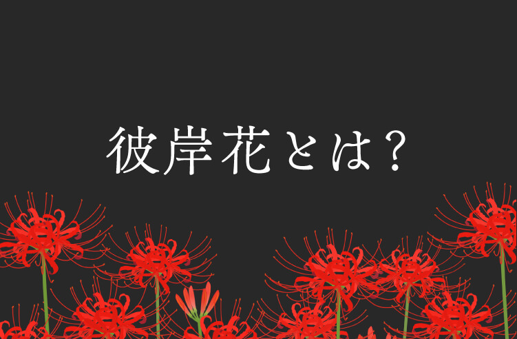彼岸花とは
