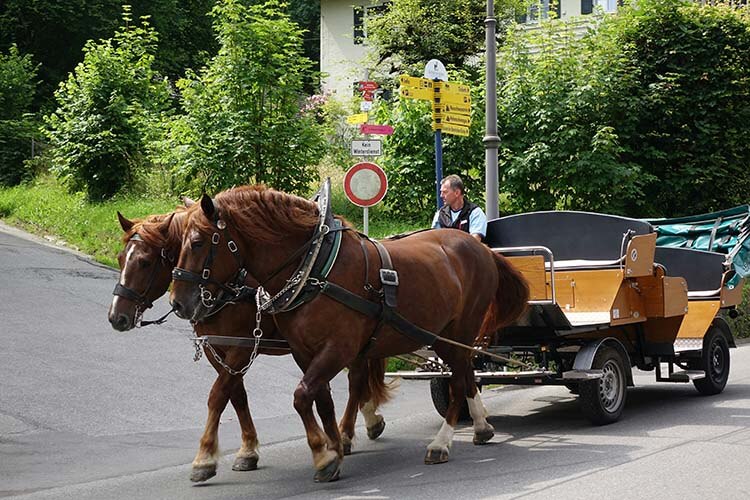 馬車に揺られてノイシュバンシュタイン城へ