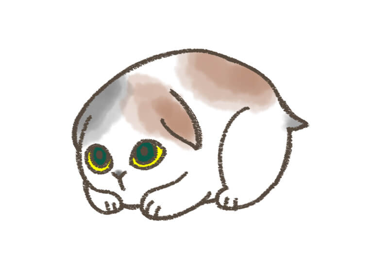 すねこすり