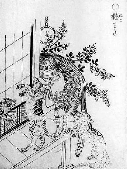 猫又（ねこまた）