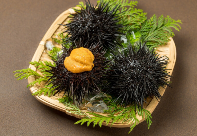 日本三大珍味「ウニ」