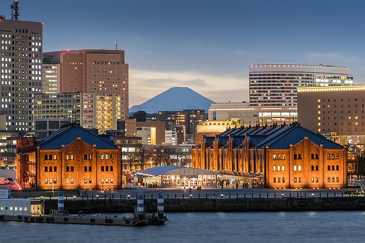 リニューアルオープン