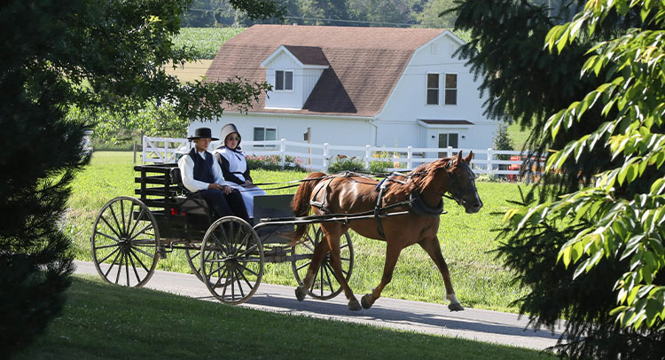 アーミッシュってどんな人々？