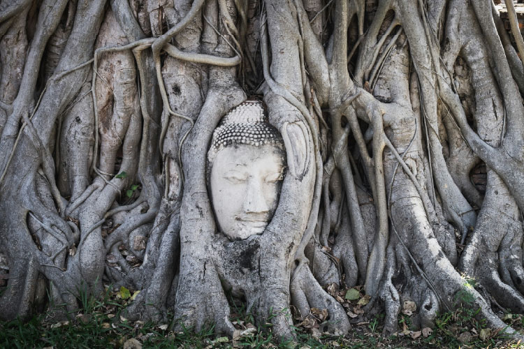 ワット・マハータート 