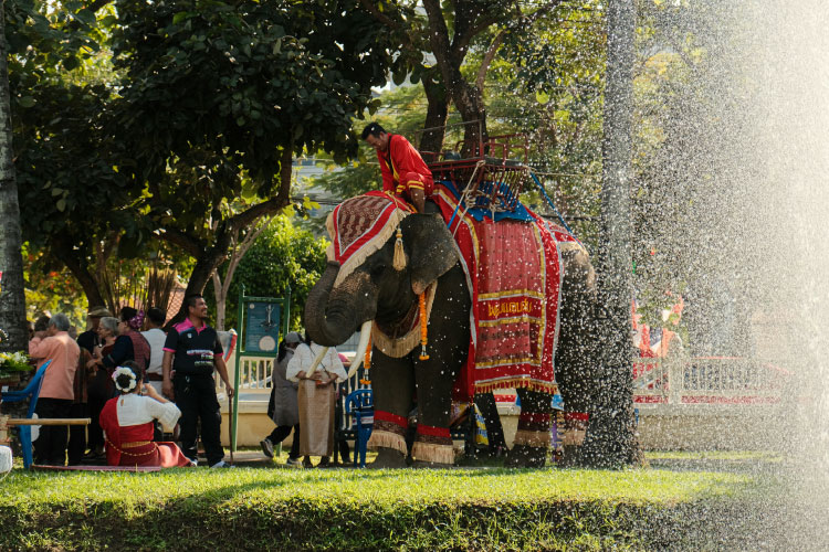 象乗りで巡るアユタヤ歴史公園