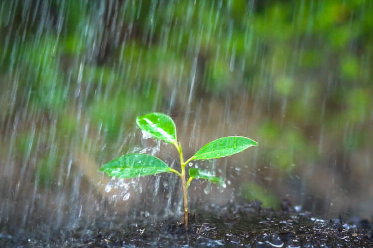 農耕や水に関する祈りのため