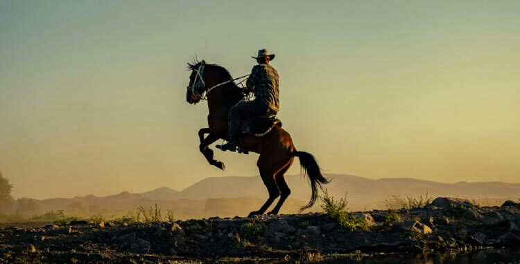馬の力強さがもたらすさまざまな「運気」