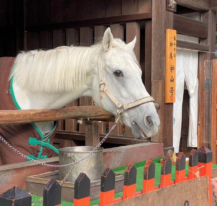 神の使いとされてきた馬