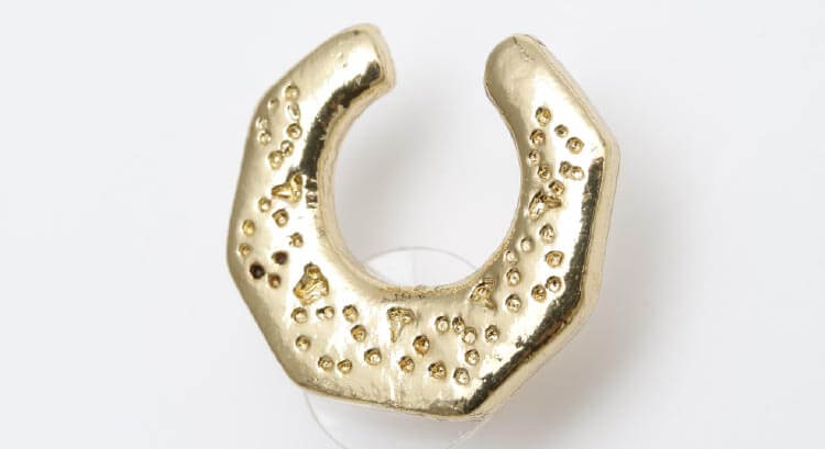 【ホースシューピアス】