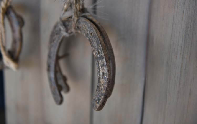 馬蹄（ホースシュー）