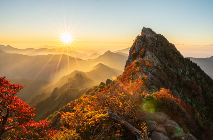 初日の出とご来光との違いは？