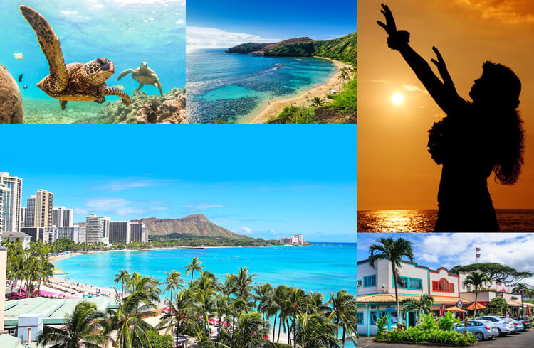 『Kahiko』の誕生 -ROOTS OF HAWAII-に込められた思い