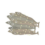 田作り（ごまめ）