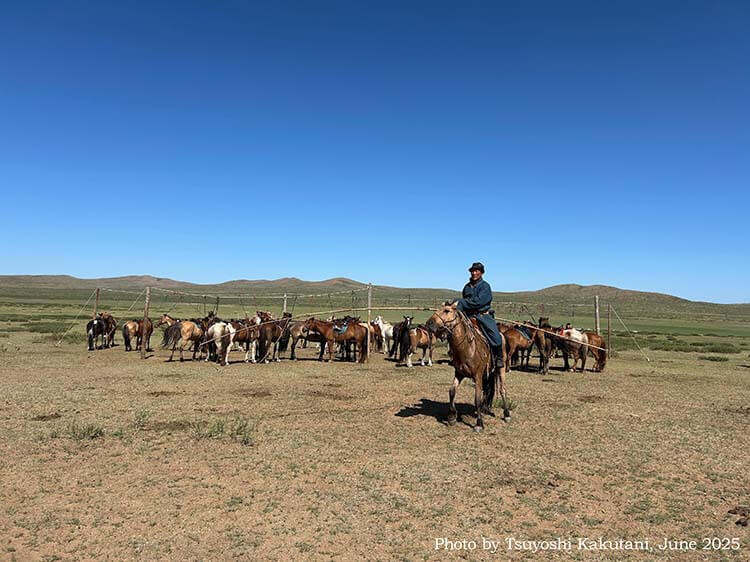 馬とともに生きる民族
