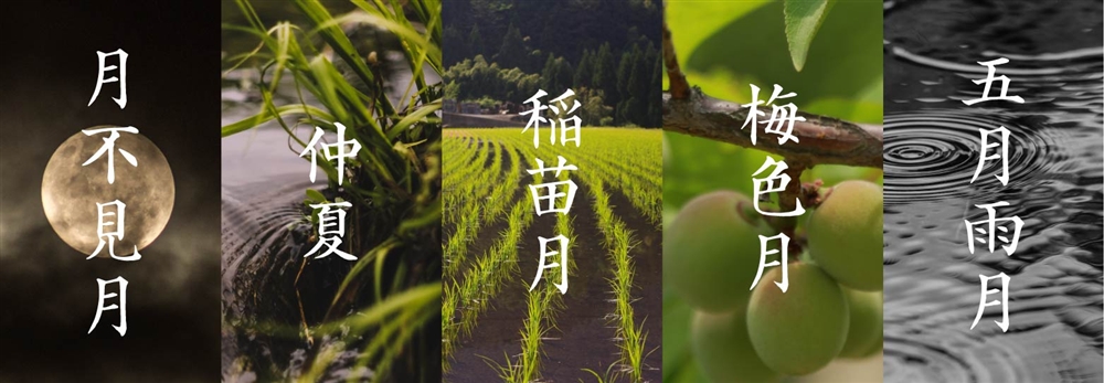 皐月以外の5月の異名・別名と読み方