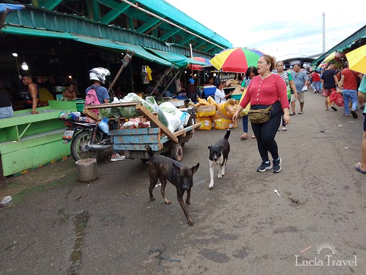 フィリピンの貧困が映し出される地元市場