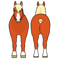 ベルジャン・ドラフト種