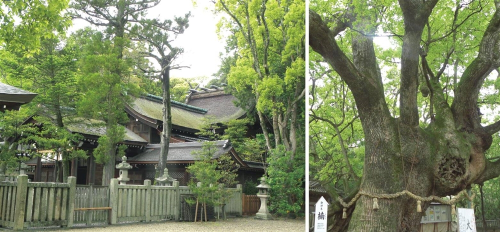 伊弉諾神宮／兵庫県