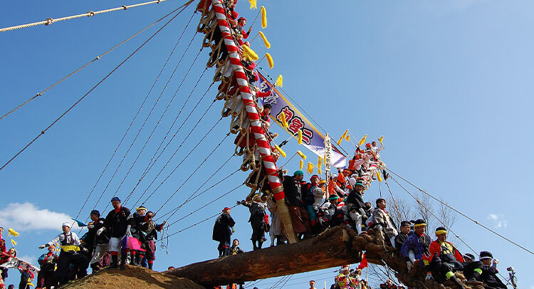 長野県：御柱祭