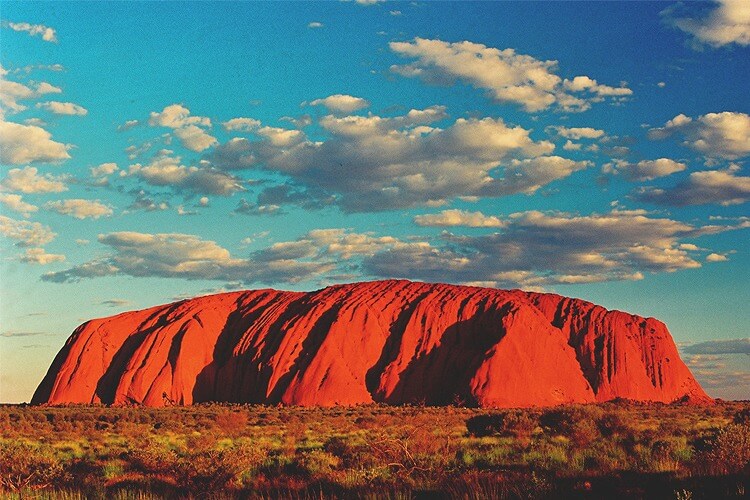 奇跡のような光景
