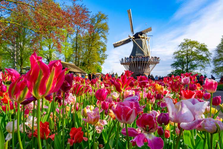 キューケンホフ公園