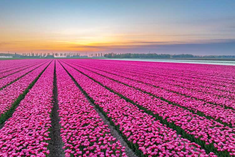 ノードオーストポルダー